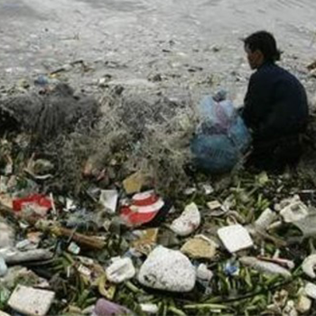 plastic-trash plastic-trash